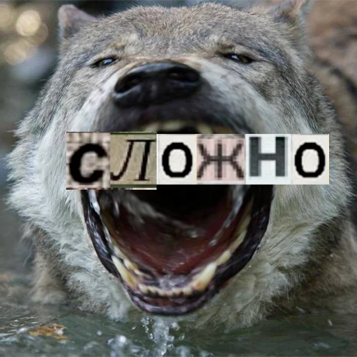 Telegram stiker «Волк за брата» 😤