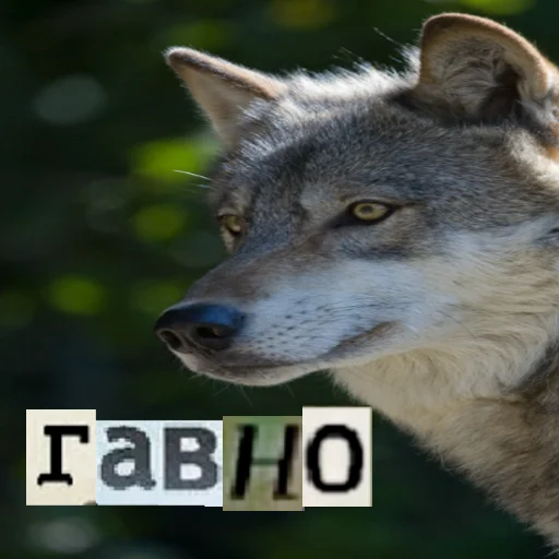 Telegram stiker «Волк за брата» 💩