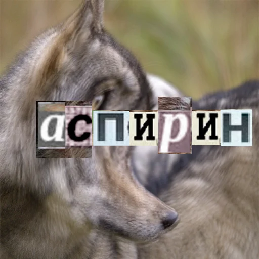 Стикер Telegram «Волк за брата» 💊