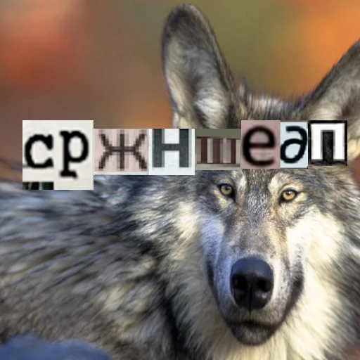 Telegram Sticker «Волк за брата» 🗿