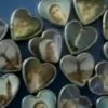 Hearts everywhere emoji 💙