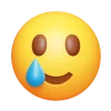 Telegram emoji «Yandex emoji» 🥲