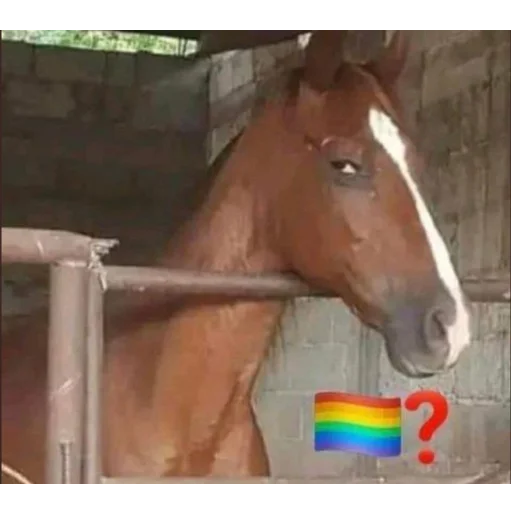 Стікер You Are Gay 🏳️‍🌈