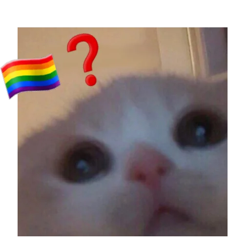 Эмодзи You Are Gay 🏳️‍🌈