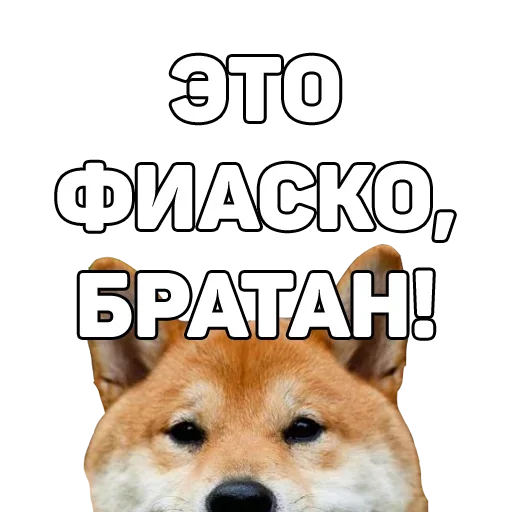 Telegram stiker «134 ук рф» 🙃