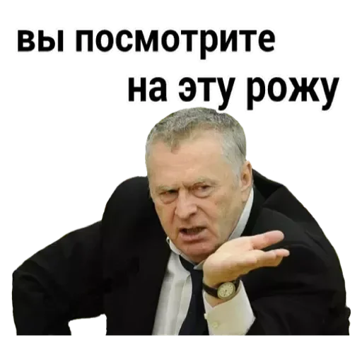 Стікер Telegram «Владимир Жириновский» 💟
