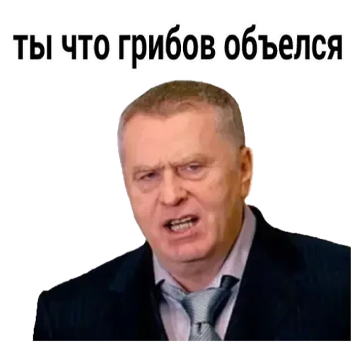 Стікер Владимир Жириновский 💟
