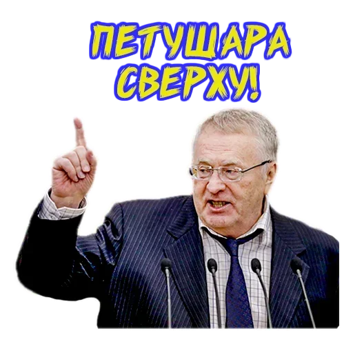 Владимир Жириновский sticker 🤬