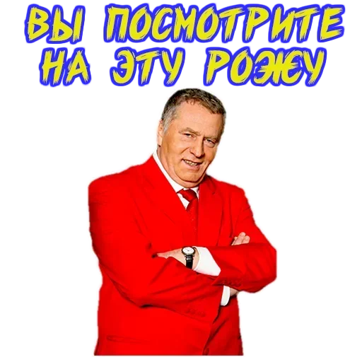Стикер Владимир Жириновский 🤬