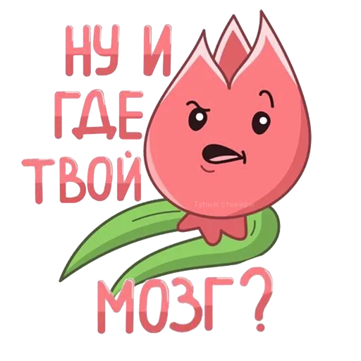 Всратые стикеры stiker 🧠