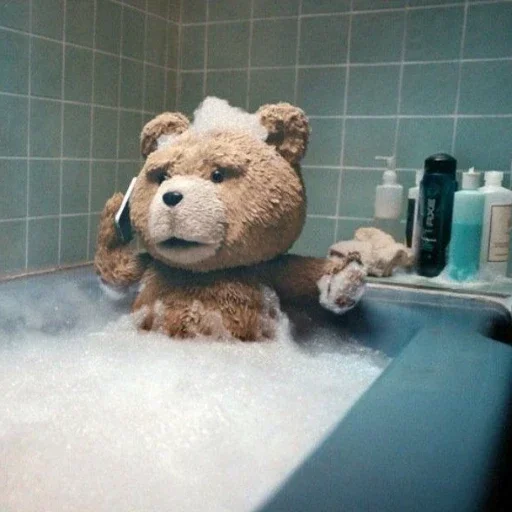 Ted stiker 🛁