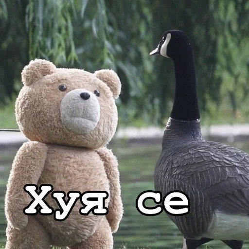 Стікер Ted 😟