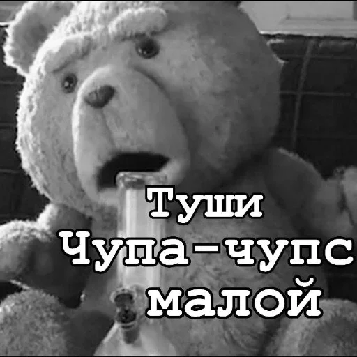 Стікер Ted 🥴