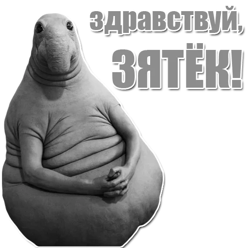 Telegram Sticker «Ждун» 