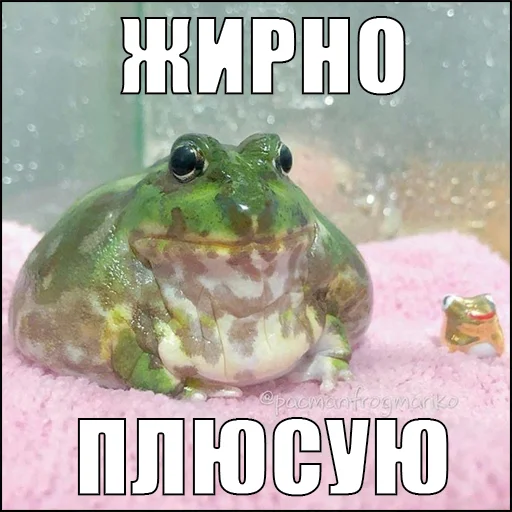 Стікер жаби йопта ✅
