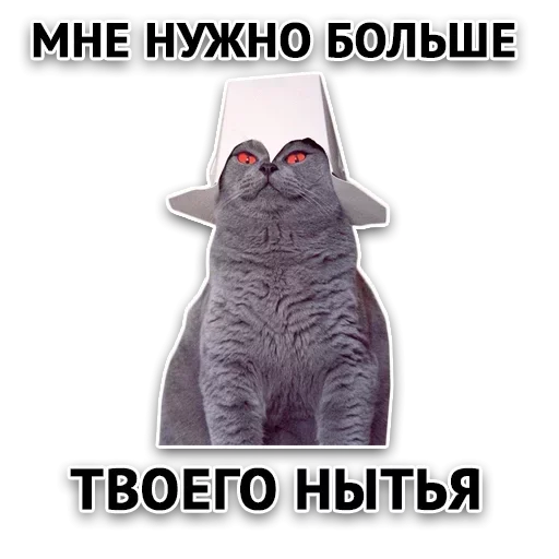 Telegram Sticker «Злой Пак» 😴
